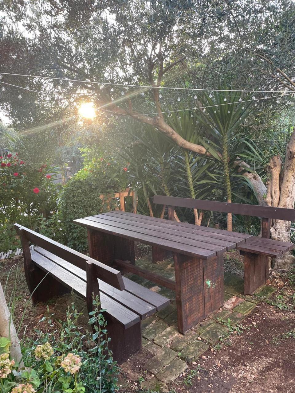 Apartman Suzana Sindija Bibinje Exterior foto